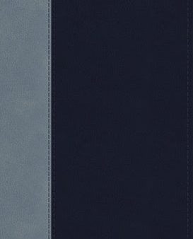 ESV Student Study Bible (Trutone, Navy Slate, Timeless Design) Online Hot Sale